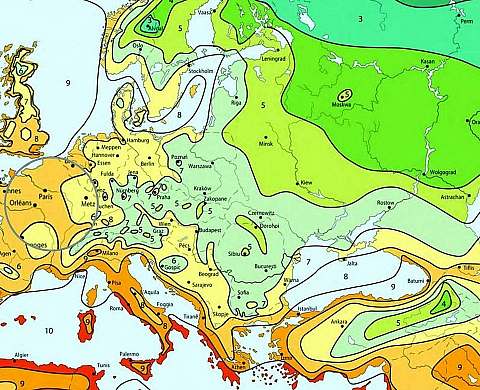 Arba- Plants for Paris, France in hardiness zone 9